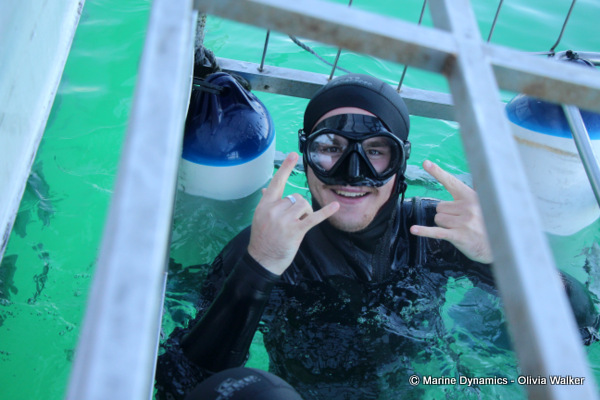 Shark Cage Diving, South Africa