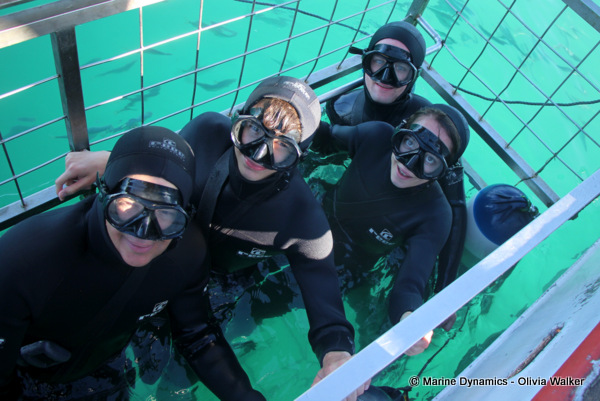 Shark Cage Diving, South Africa