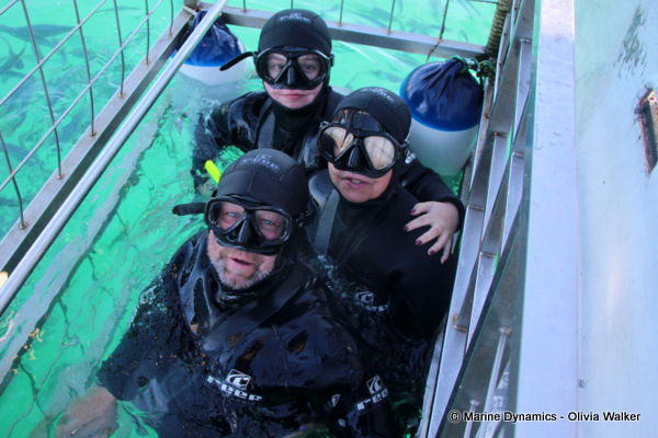 Shark Cage Diving, South Africa