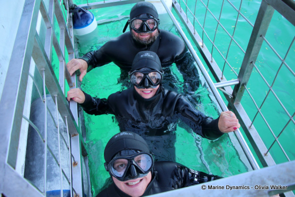 Shark Cage Diving, South Africa