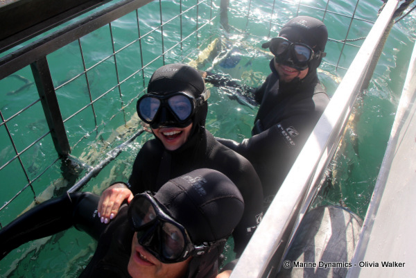 Shark Cage Diving