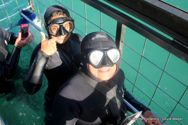 Shark Cage Diving