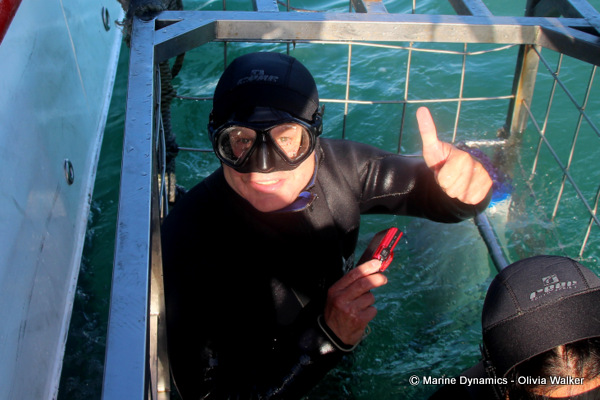 Shark Cage Diving