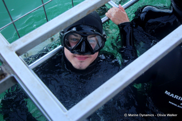 Shark Cage Diving