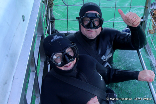 Shark Cage Diving