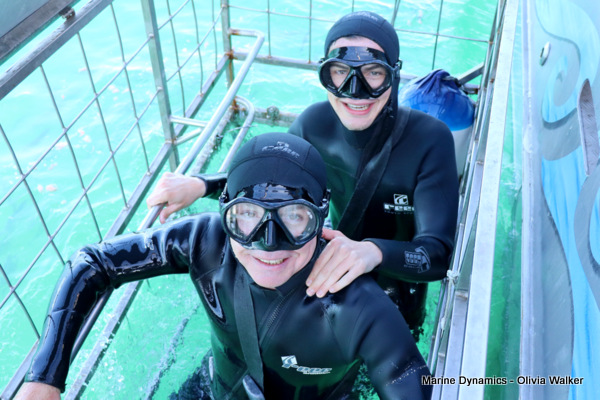 Shark Cage Diving, South Africa