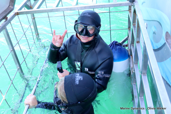 Shark Cage Diving, South Africa