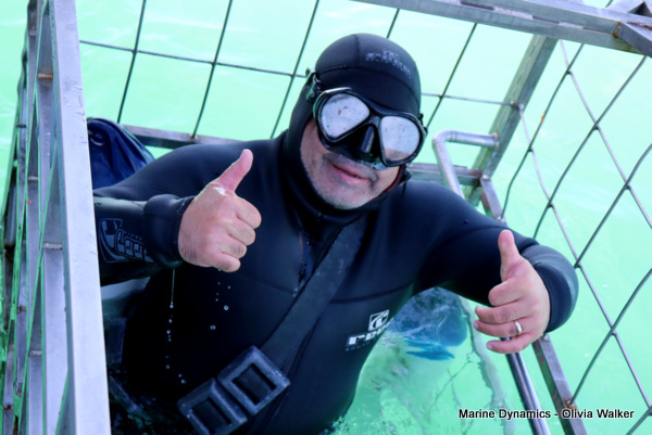 Shark Cage Diving, South Africa