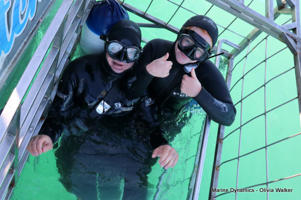 Shark Cage Diving, South Africa