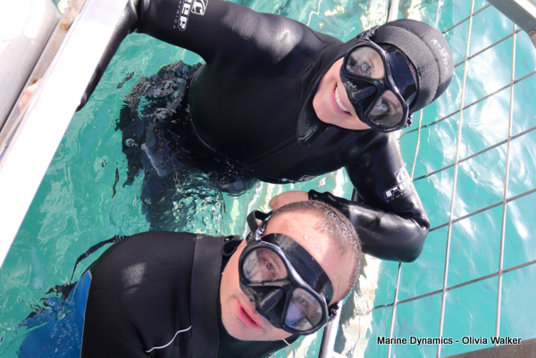 Shark Cage Diving, Gansbaai, South Africa