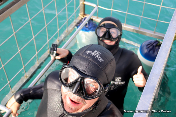 Shark Cage Diving, Gansbaai, South Africa