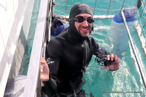 Shark Cage Diving, Gansbaai, South Africa