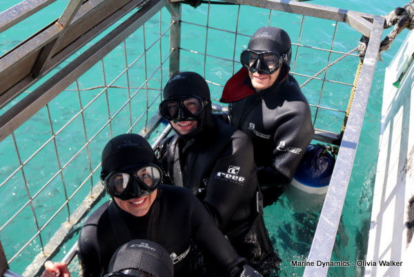 Shark Cage Diving, Gansbaai, South Africa