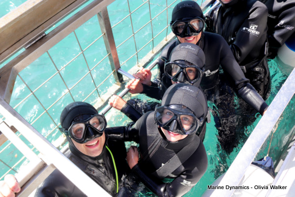 Shark Cage Diving, Gansbaai, South Africa