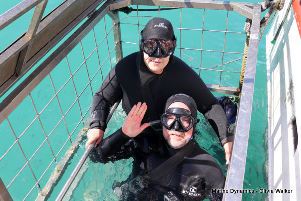 Shark Cage Diving, Gansbaai, South Africa
