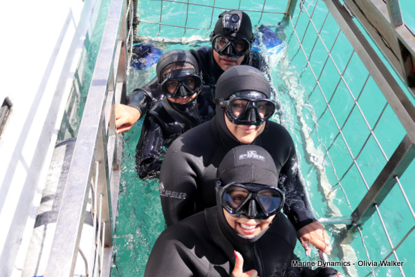 Shark Cage Diving, Gansbaai, South Africa