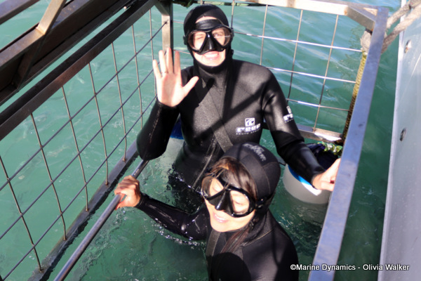 Shark Cage Diving, South Africa