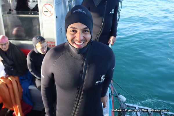 Shark cage diving, Gansbaai