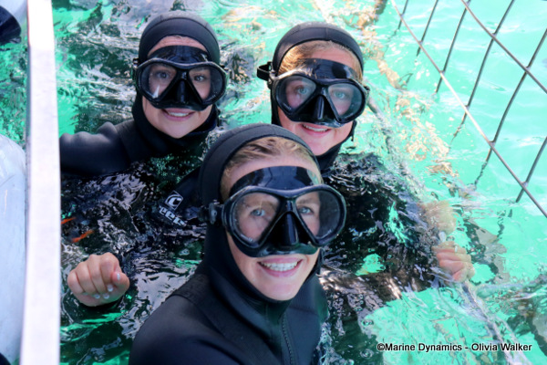 Shark Cage Diving, South Africa