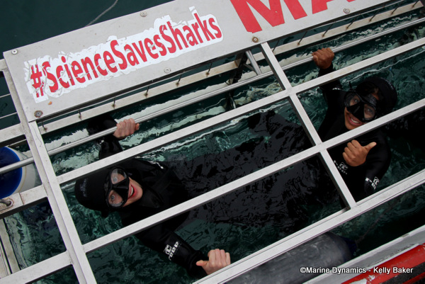 Shark Cage Diving, South Africa