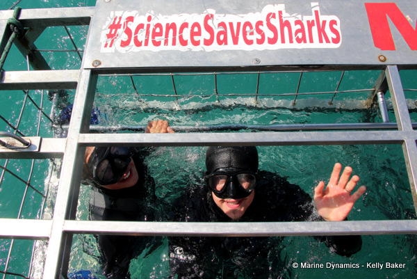 Shark Cage Diving, South Africa