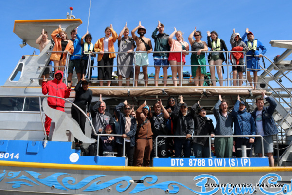 Shark cage diving, South Africa