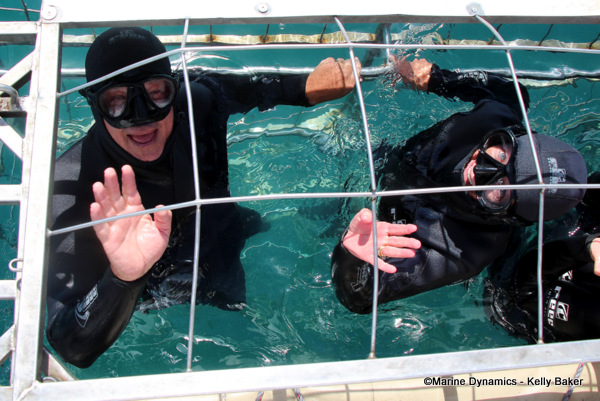 Shark cage diving, South Africa