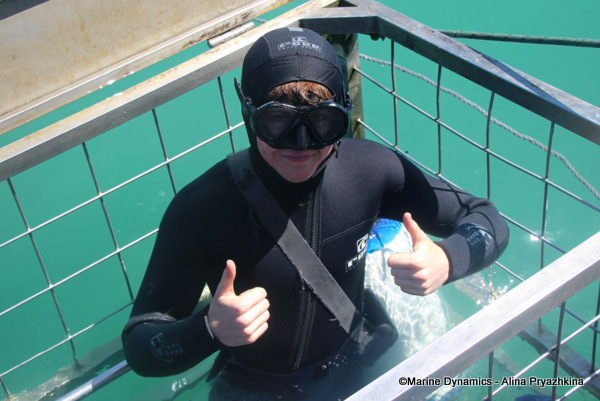 Shark cage divers, south africa