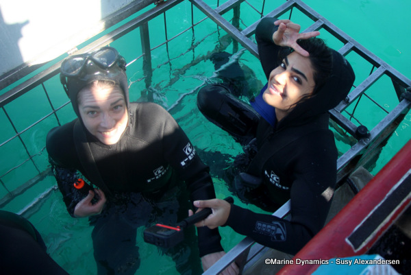 Shark cage diving, South Africa