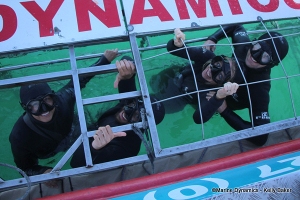 Shark cage diving, South Africa