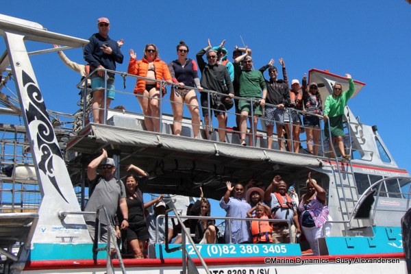 Shark cage diving, South Africa