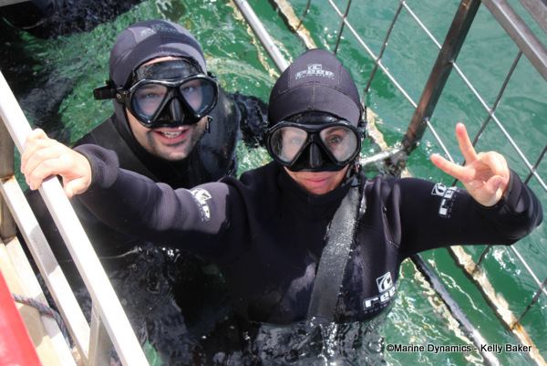 Shark cage diving, South Africa