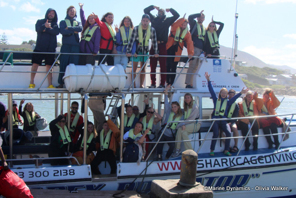 Shark Cage Diving, South Africa
