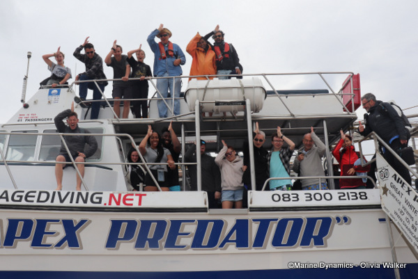shark cage diving, South Africa