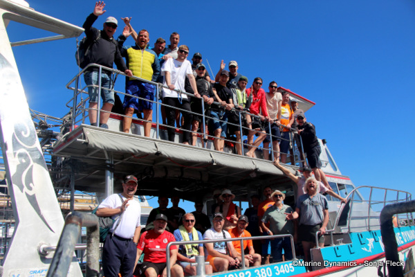 Shark Cage Diving, South Africa