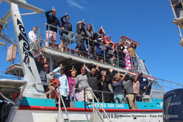 Shark cage diving, South Africa