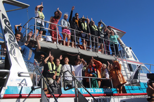 shark cage diving, South Africa