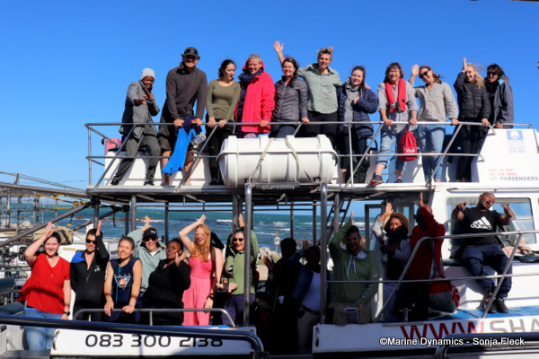 shark cage diving, South Africa