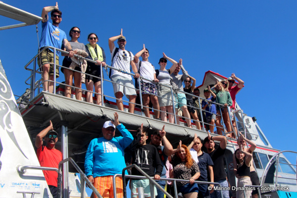 Shark cage diving, South Africa