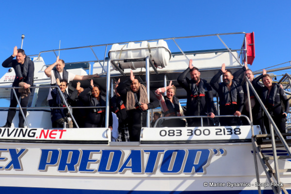 shark cage diving, South Africa