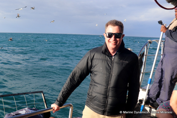 Shark cage diving, South Africa 