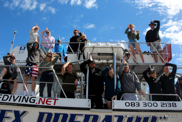 Shark cage diving, South Africa 