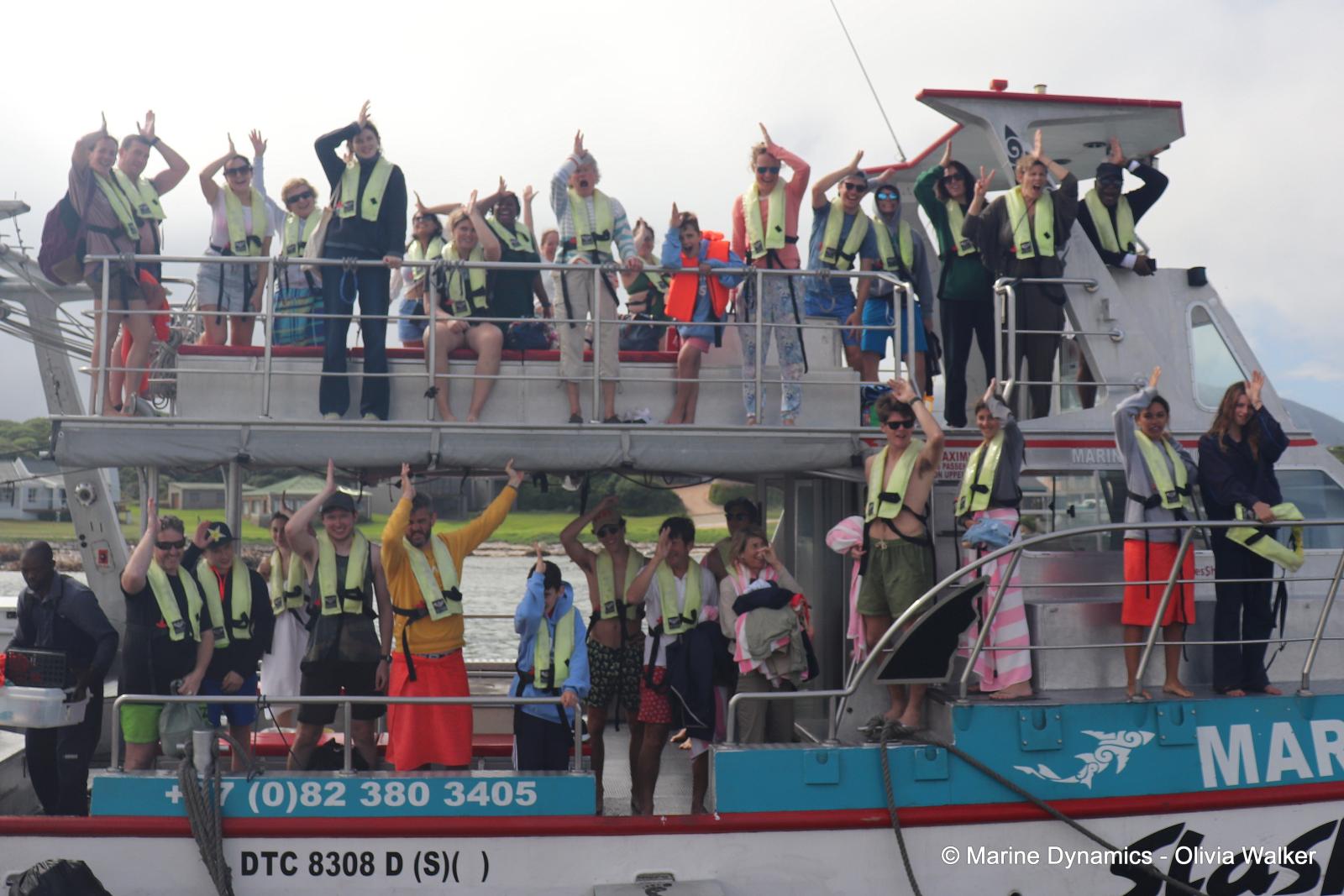 shark cage diving, South Africa