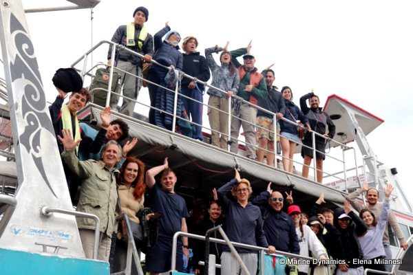 Shark cage diving, South Africa 