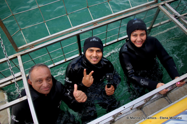 Shark cage diving, South Africa 