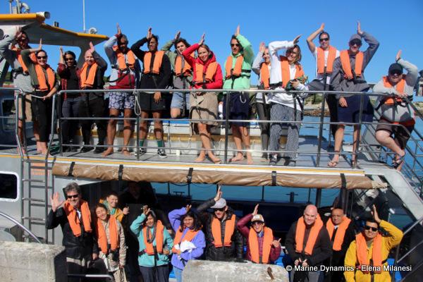 Shark cage diving, South Africa 