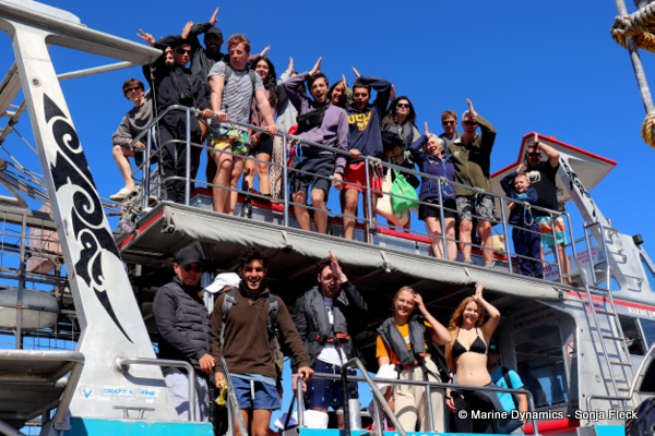 Shark cage diving, South Africa