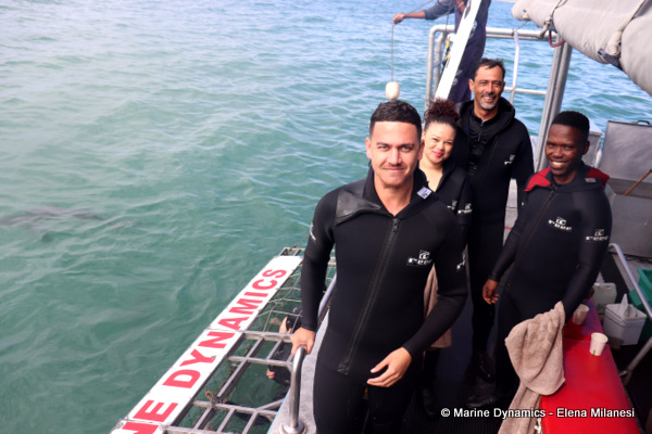 Shark cage diving, South Africa 