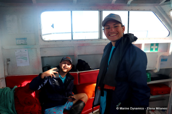 Shark cage diving, South Africa 