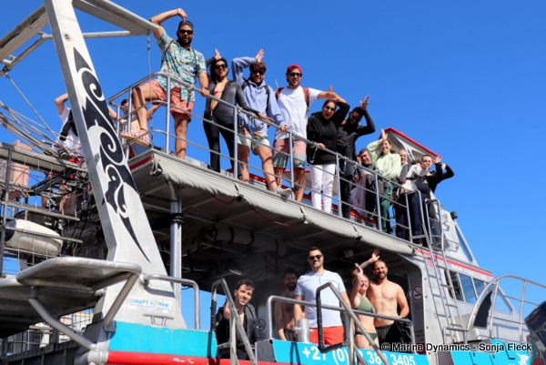Shark cage diving, South Africa